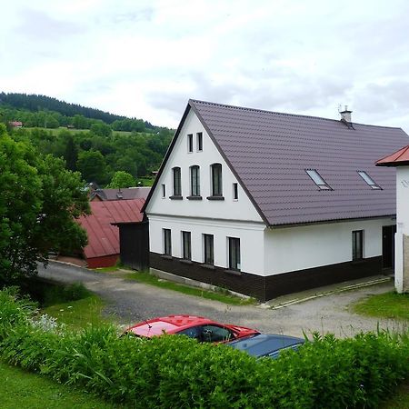 Penzion Pod Studenovem Rokytnice nad Jizerou Buitenkant foto