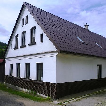 Penzion Pod Studenovem Rokytnice nad Jizerou Buitenkant foto