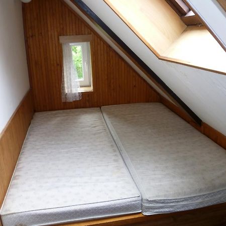 Penzion Pod Studenovem Rokytnice nad Jizerou Buitenkant foto