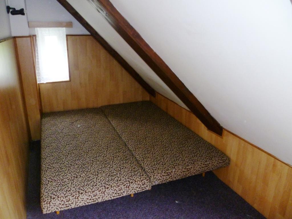 Penzion Pod Studenovem Rokytnice nad Jizerou Buitenkant foto