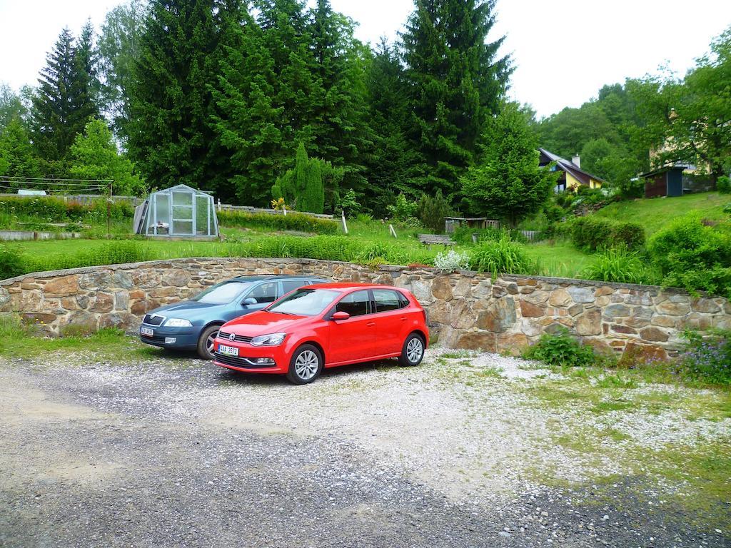 Penzion Pod Studenovem Rokytnice nad Jizerou Buitenkant foto