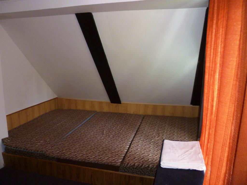 Penzion Pod Studenovem Rokytnice nad Jizerou Buitenkant foto